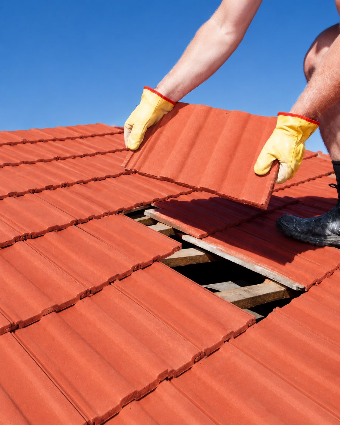 Roof & Ceiling